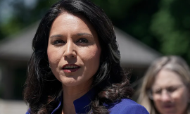 Tulsi Gabbard Net Worth: A Journey of Service and Leadership